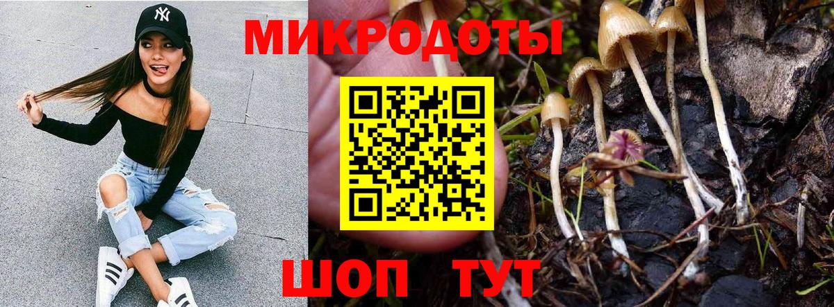 Галлюциногенные грибы мицелий Павловский Посад