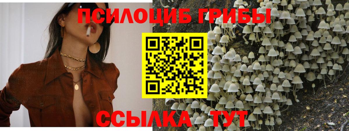 Галлюциногенные грибы GOLDEN TEACHER  Галлюциногенные грибы GOLDEN TEACHER  Вход с VPN  Павловский Посад 